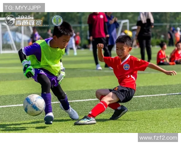 刘娜独家解析足球技巧与战术分享助你提升球场表现