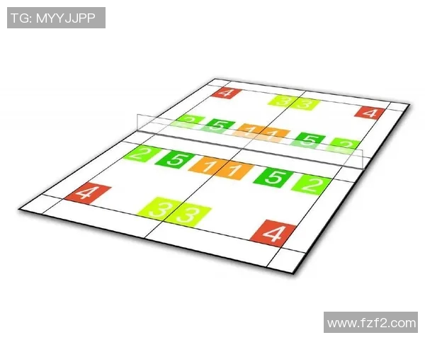 南京羽毛球队选拔赛战术分析与表现评估探讨