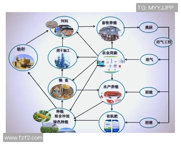 大米种植技术创新与可持续发展路径研究及应用探讨 大米种植技术创新与可持续发展路径研究及应用探讨