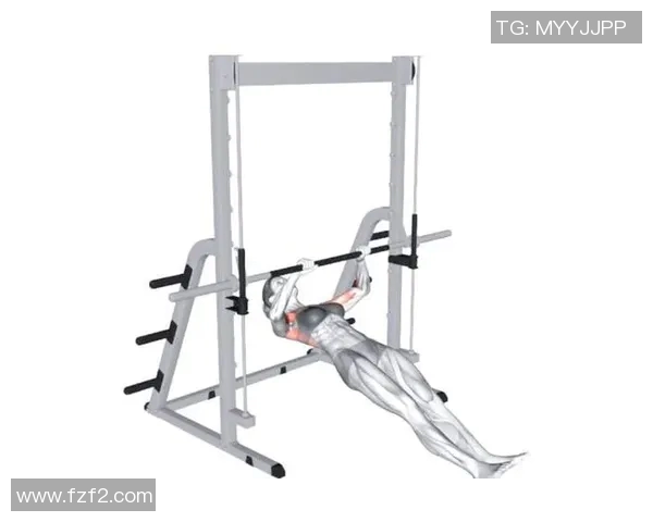 深度解析健身器材选材标准与误区